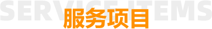 服务项目
